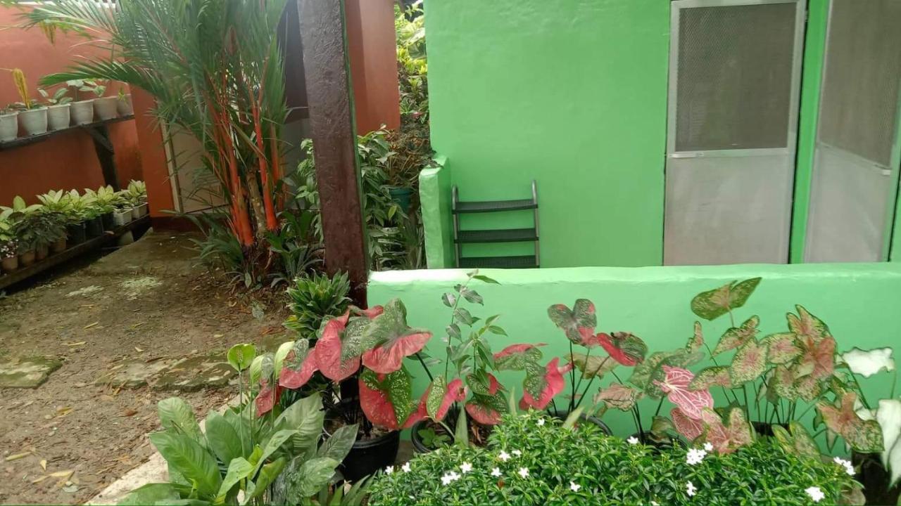 Charity Pension House San Vicente  Bagian luar foto